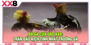 Đá Gà Cựa Dao XX8: Trận Đấu Kịch Tính Nhất Trường Gà