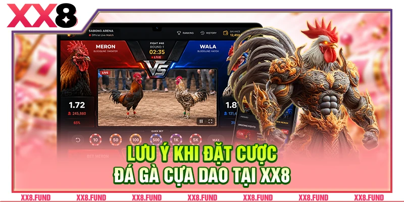Lưu ý khi đặt cược đá gà cựa dao tại XX8