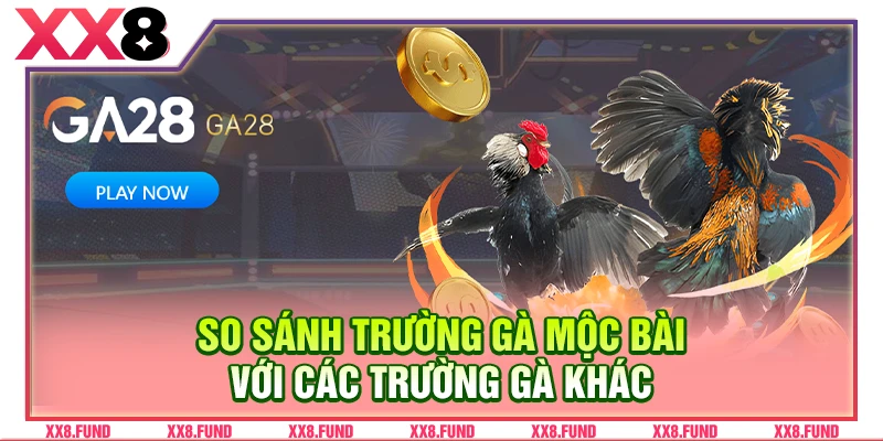 So sánh trường gà Mộc Bài với các trường gà khác