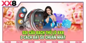 Soi Cầu Bạch Thủ Lô XX8: 3 Cách Bắt Số Chuẩn Nhất