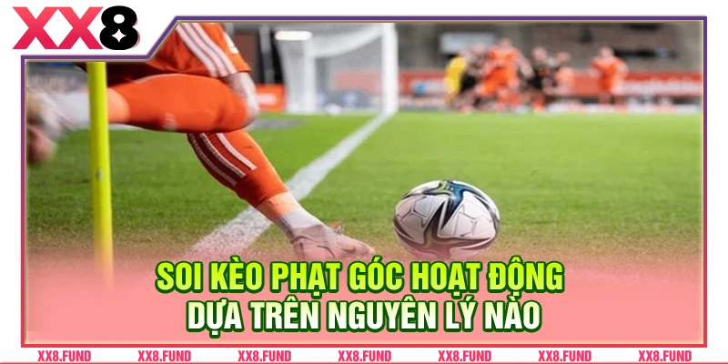 Soi kèo phạt góc hoạt động dựa trên nguyên lý nào