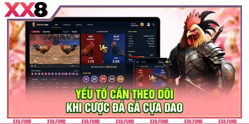 Yếu tố cần theo dõi khi cược đá gà cựa dao